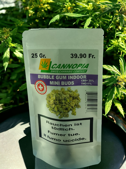 Mini Buds Bubble Gum 25 Gramm Indoor