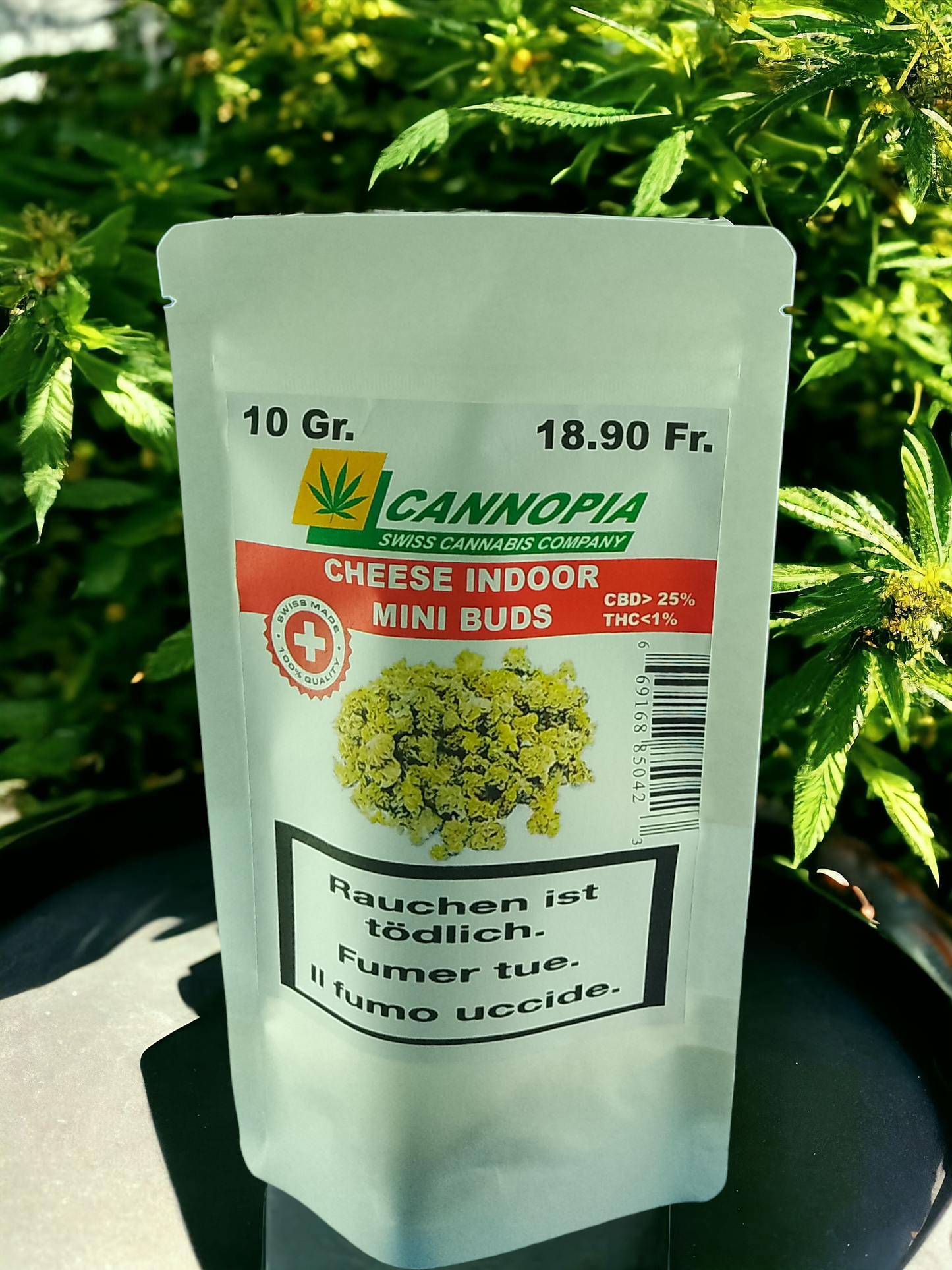 Mini Buds Cheese 10 Gramm Indoor