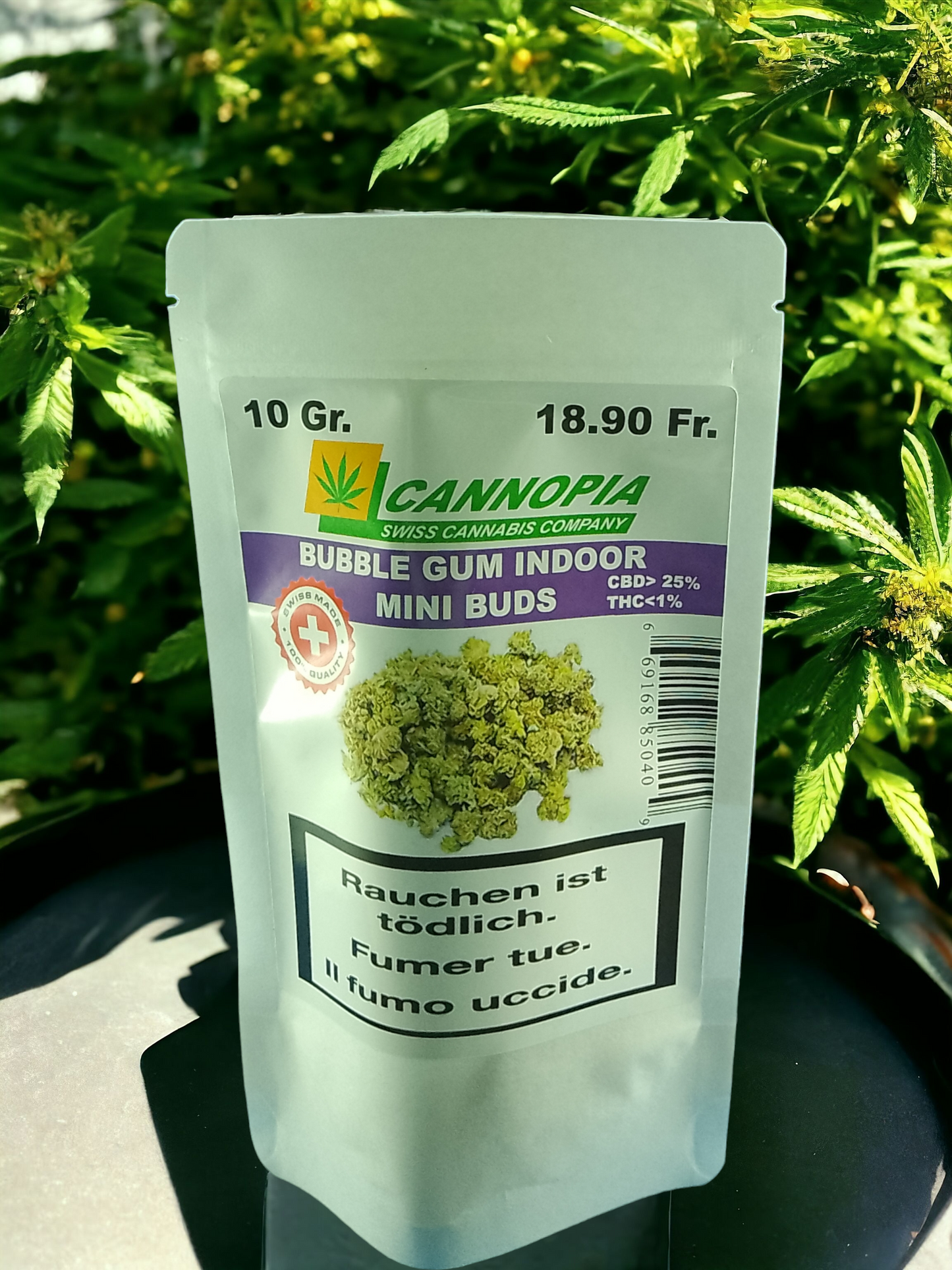 Mini Buds Bubble Gum 10 Gramm Indoor