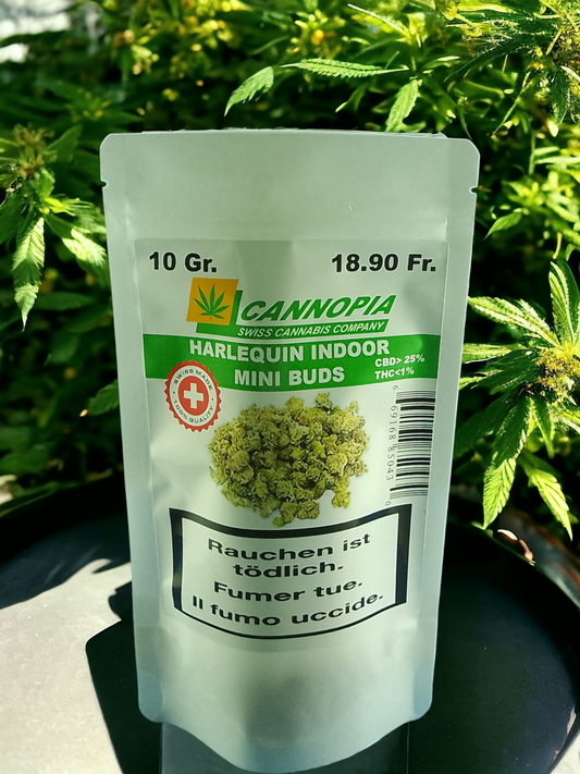 Mini Buds Harlequin 10 Gramm Indoor