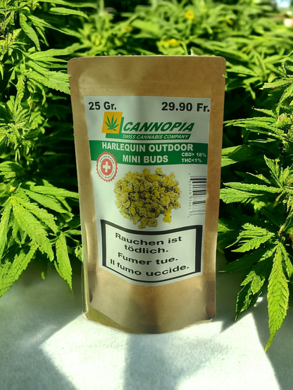 Mini Buds Harlequin 25 Gramm Outdoor