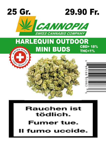 Mini Buds Harlequin 25 Gramm Outdoor