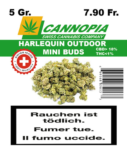 Mini Buds Harlequin 5 Gramm Outdoor