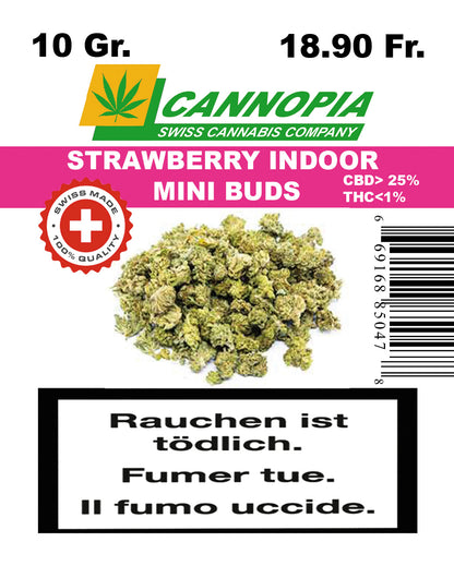 Mini Buds Strawberry 10 Gramm Indoor