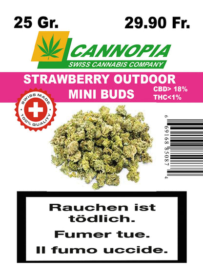 Mini Buds Strawberry 25 Gramm Outdoor